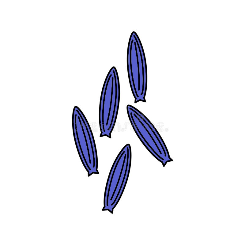 cc